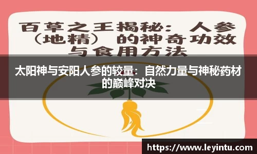 k1体育